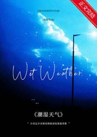 潮湿天气宋昭讲什么