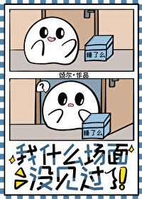 我什么场面没见过 颂尔