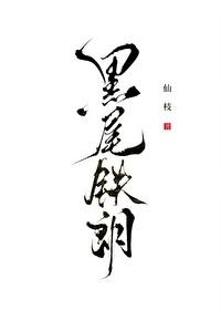 排球少年同人文晋江