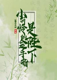 小可怜手握爽文剧本免费阅读