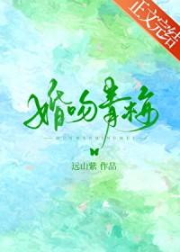 婚吻青梅全文免费阅读