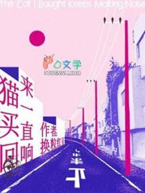 猫买回来一直响怎么办