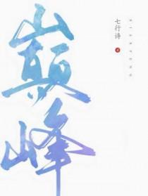 巅峰国际
