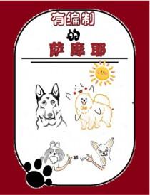 有编制的萨摩耶by