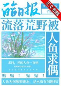 流落荒岛你会选择谁