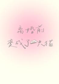 离婚前变成了一只猫在线阅读