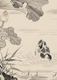 全京城都在等我掉马顾迟