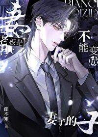 老板是不能变成妻子的TXT