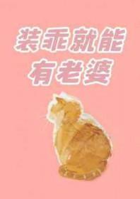 装乖就能有老婆by免费阅读