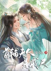 首辅夫人是戒尺夏小资源