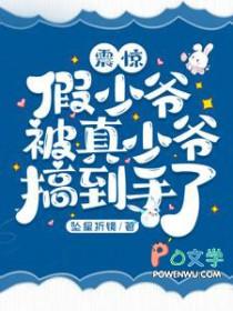 震惊假少爷被真少爷搞到手了免费阅