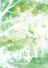 山荷叶是什么植物