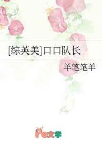 综英美口口队长剧情解析