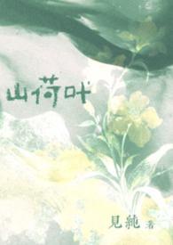 山荷叶豪门公媳