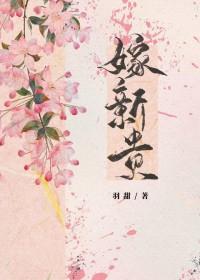 嫁新贵by羽甜TXT