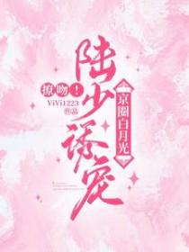 陆少宠妻超甜齁