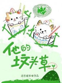 他的坟头草TXT盘