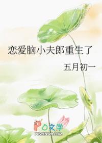 恋爱脑小夫郎重生了百度