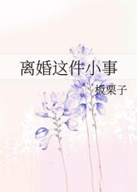 离婚这件小事by颂川红最新章节列表