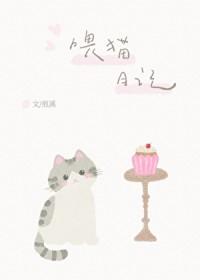喂猫描写