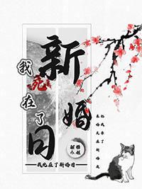 死在婚礼前免费阅读