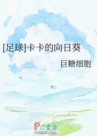 关于卡卡的足球文