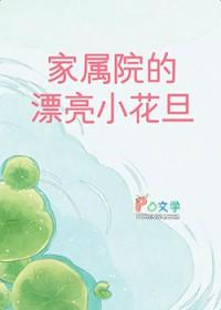 家属院的日子是什么意思