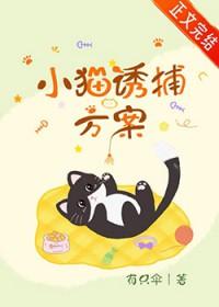 怎么诱猫过来