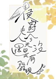 侯爵夫人读后感