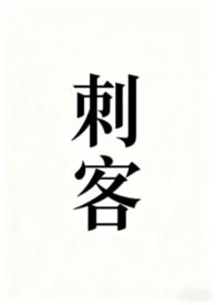 刺客NP文