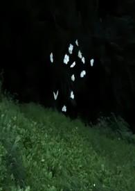 蔚然(兄妹骨科)作者韩金玉