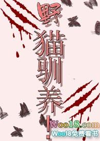 野猫驯养by魏承泽全文阅读