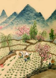 重生年代文里路人甲