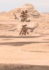 荒原veil