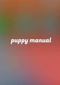 小狗诱捕手册(1v1 h)